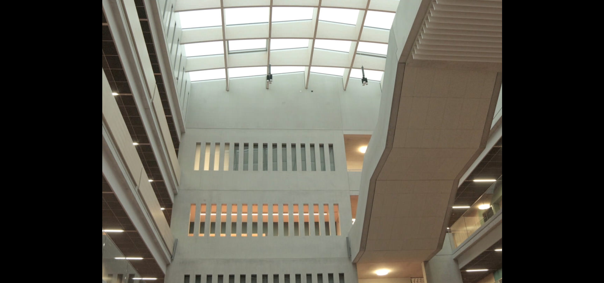 Luxsystem Zusammenspiel Tageslicht Kunstlicht mit Linienleuchte Willibald-Gluck-Gymnasium Eingangsbereich
